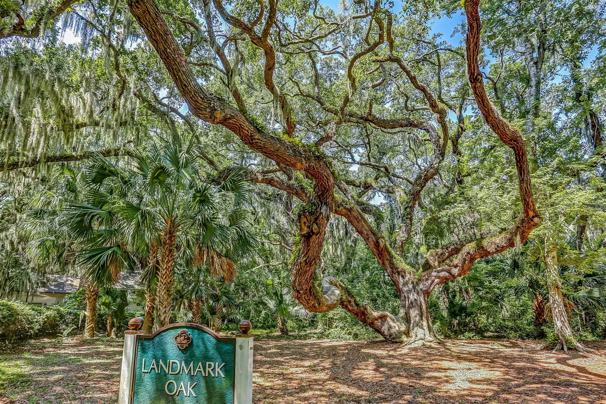 47 Sea Marsh Road Fernandina Beach, FL 32034 - Photo 43 of 45