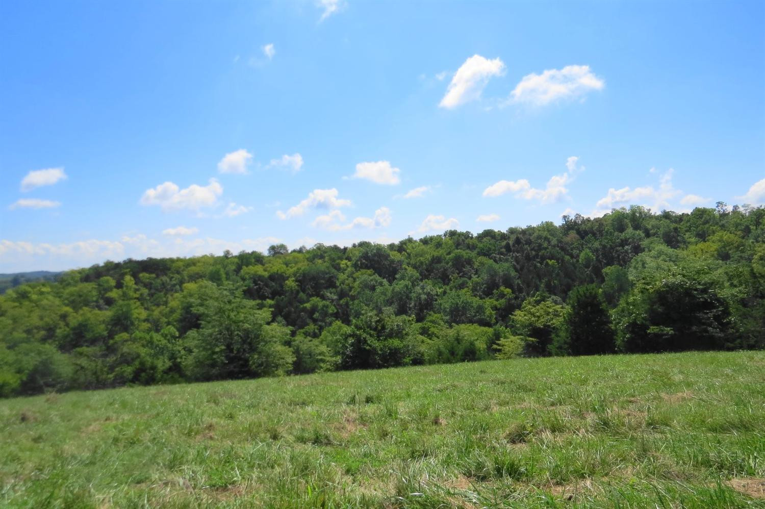 636 Ceder Road Owingsville, KY 40360 - Photo 16 of 22 Photo 16