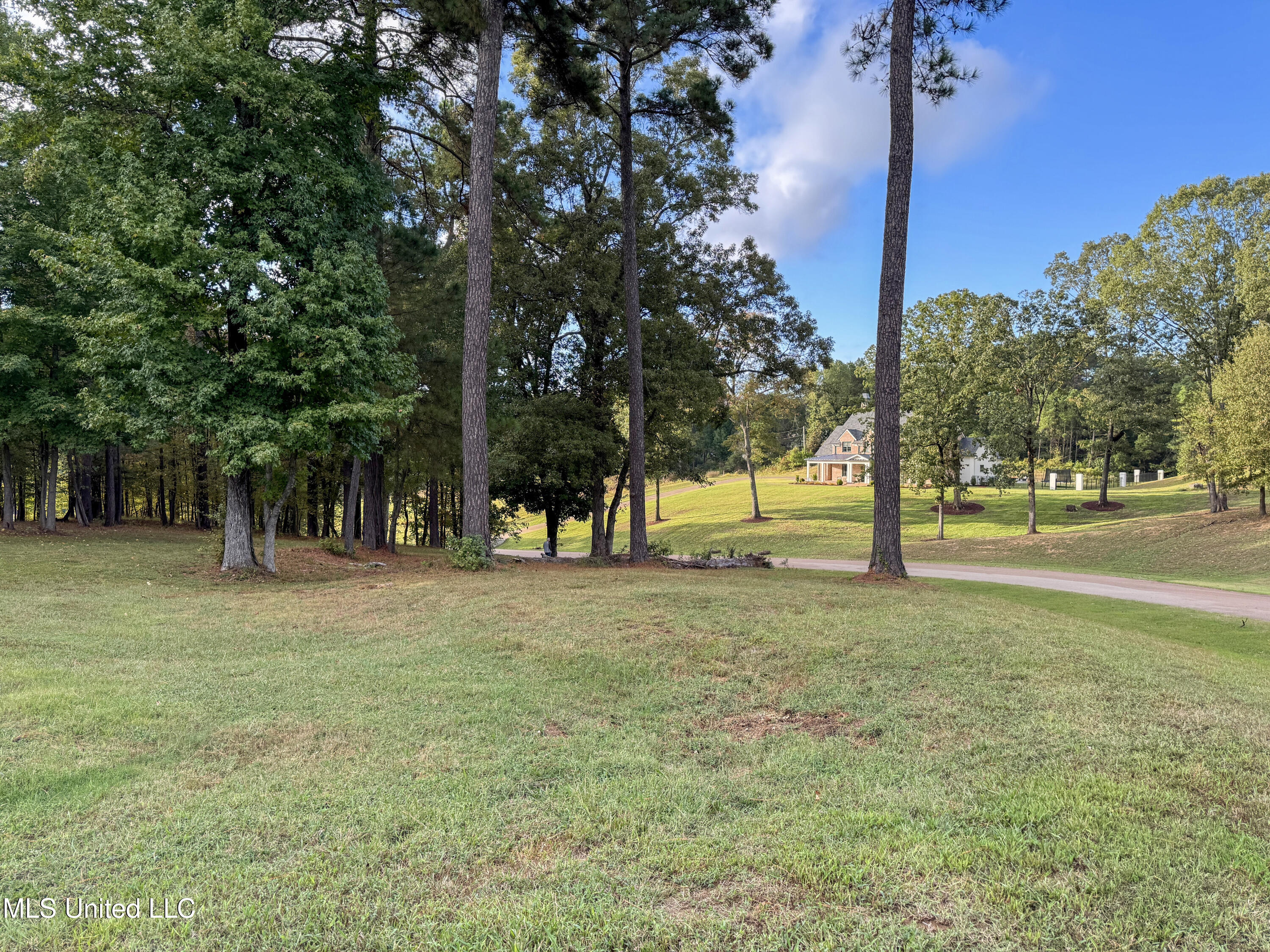 Ginners Lane Hernando, MS 38632 - Photo 12 of 21 8