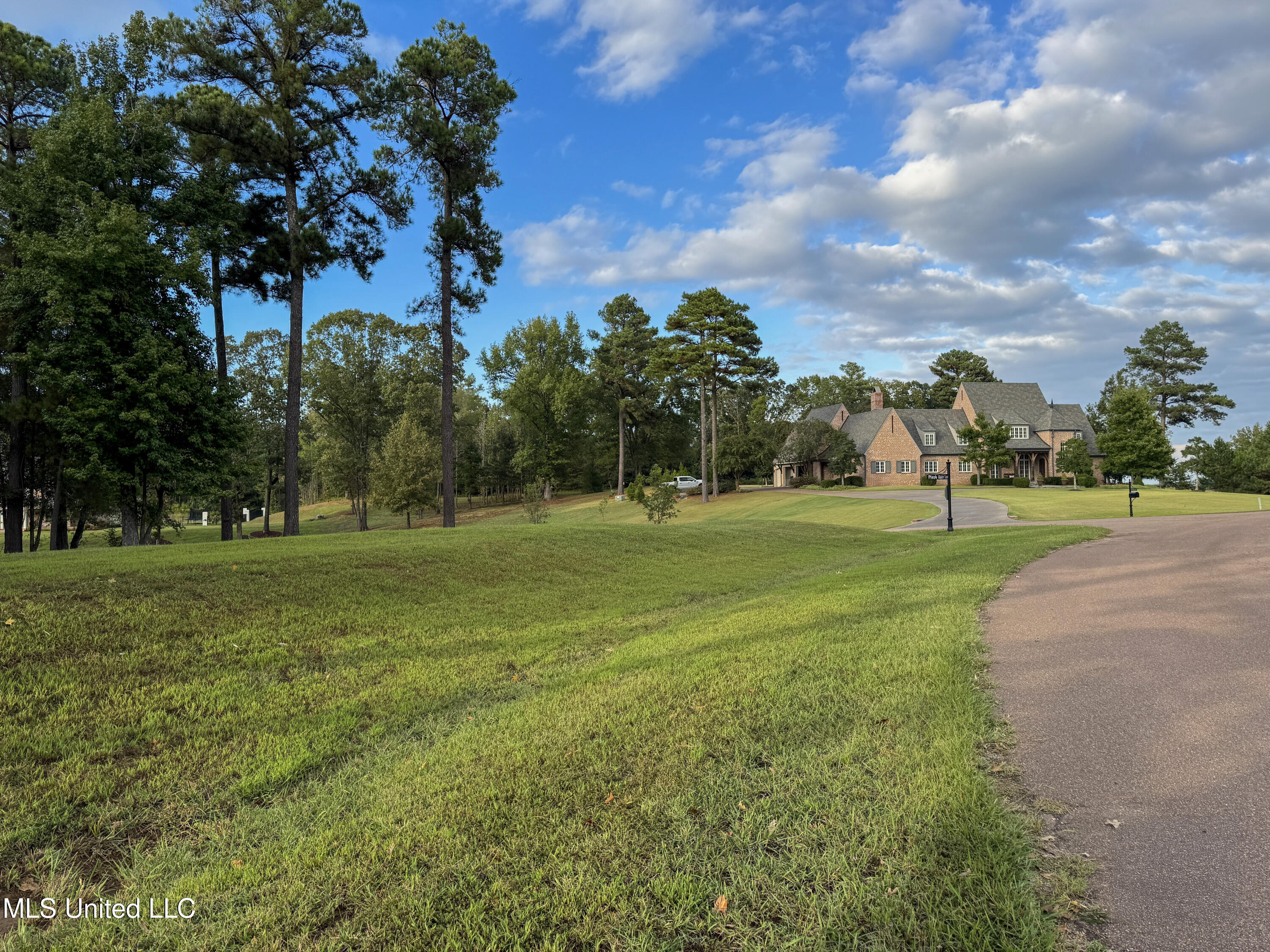 Ginners Lane Hernando, MS 38632 - Photo 15 of 21 5