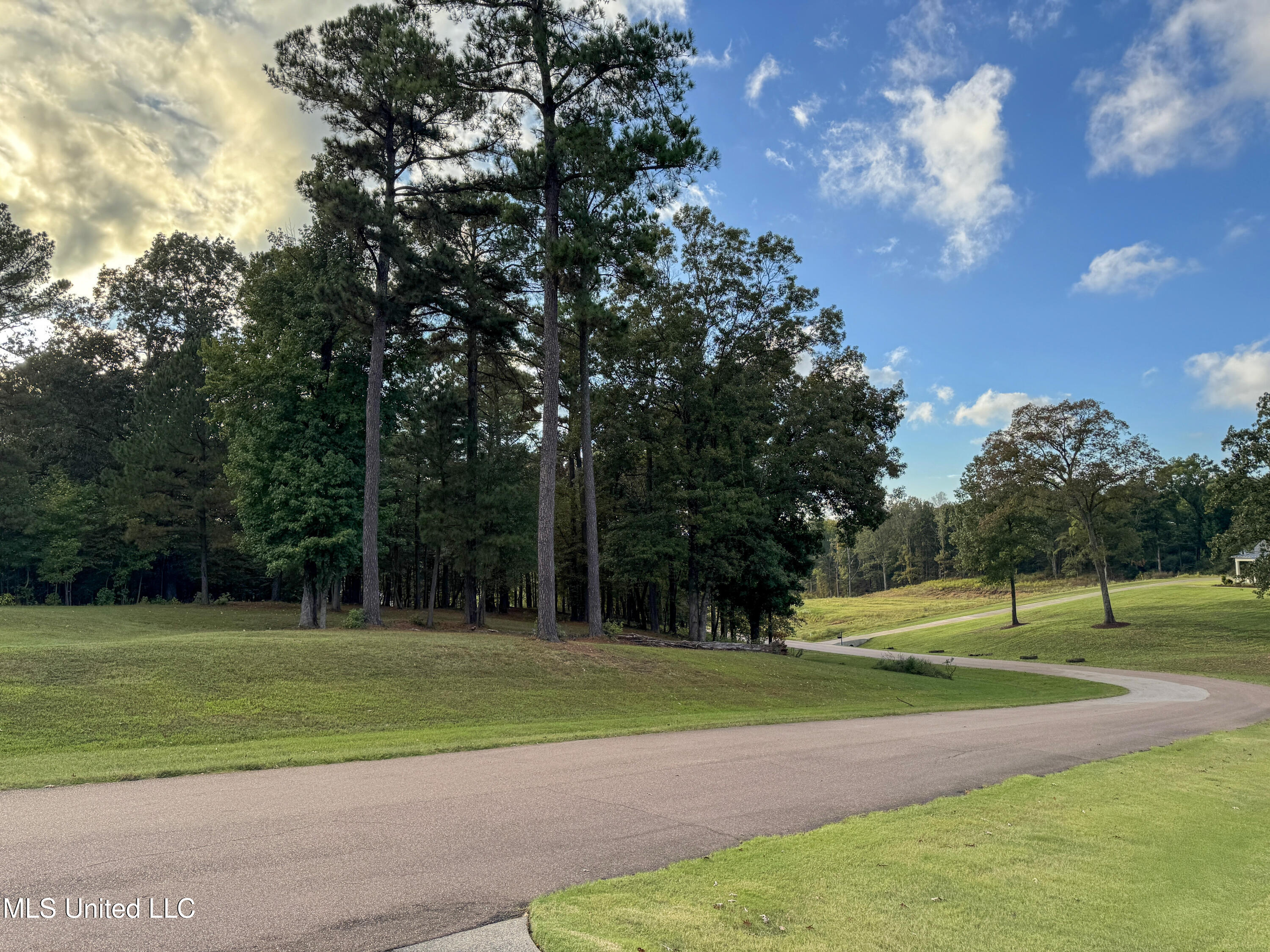 Ginners Lane Hernando, MS 38632 - Photo 17 of 21 3