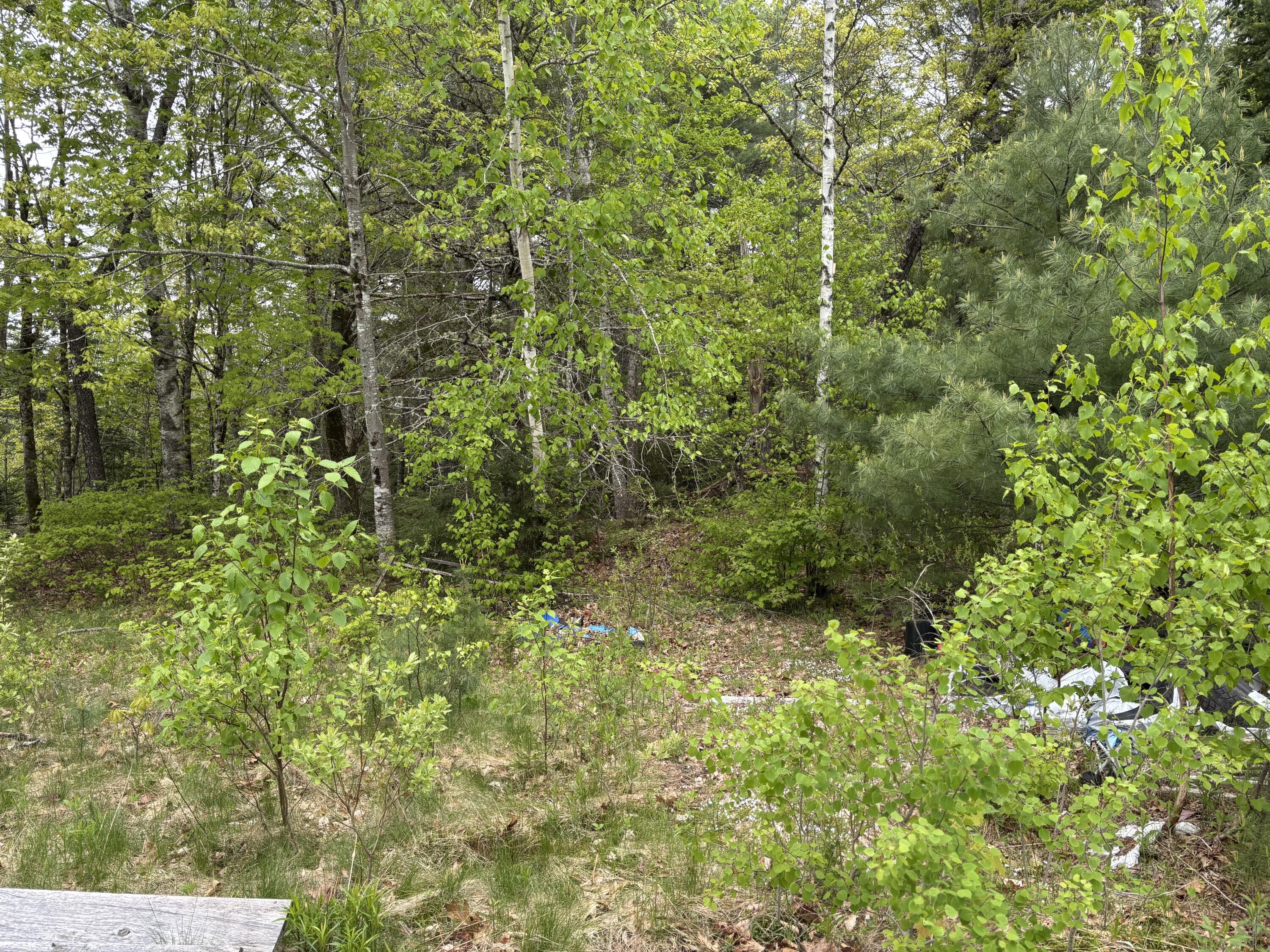 Lot# 4-7 Lot#4-7 Macomber Mill Road Eastbrook, ME 04634 - Photo 15 of 16 IMG_9742