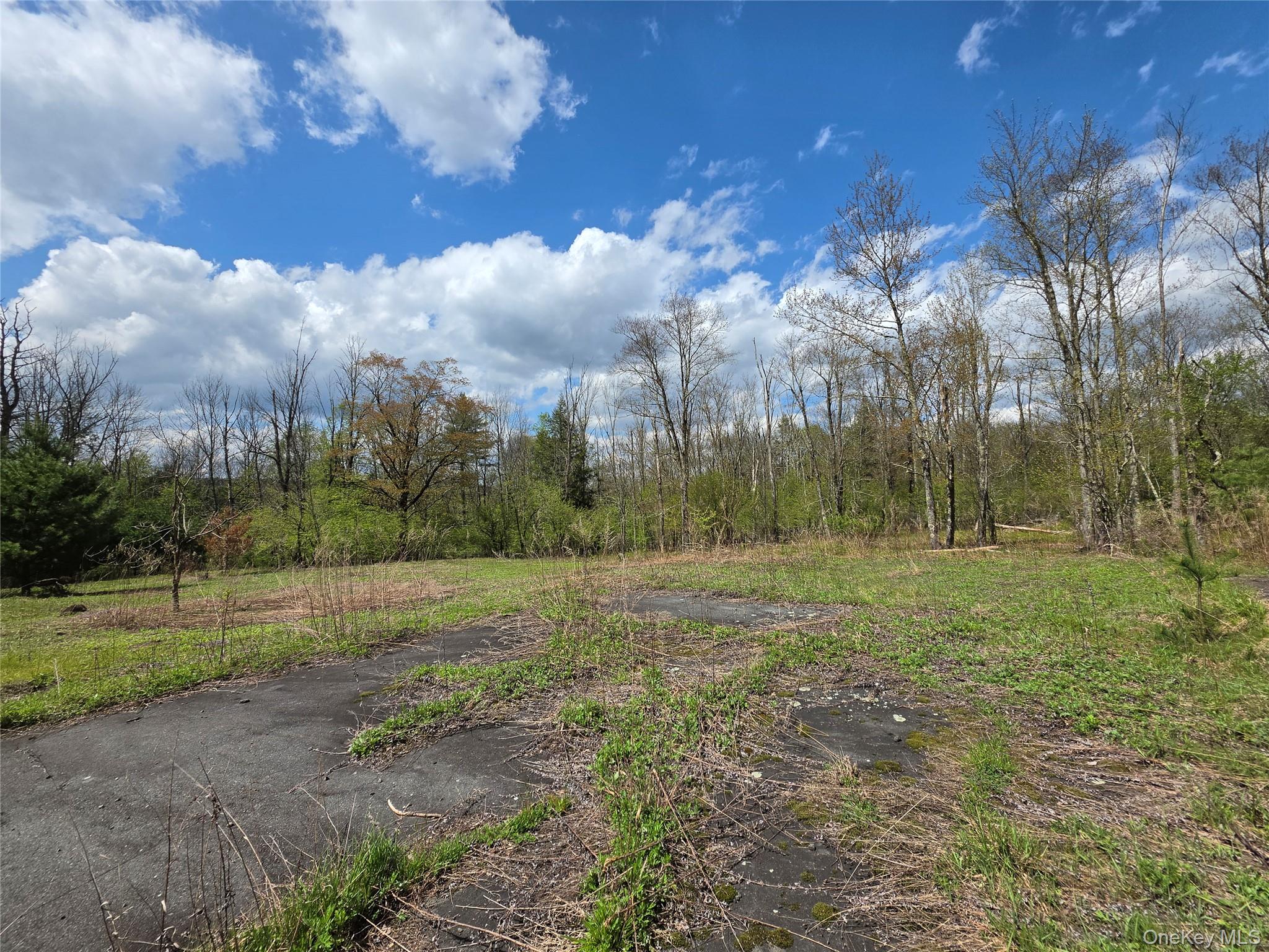 832 State Rt 17B Monticello, NY 12701 - Photo 20 of 24