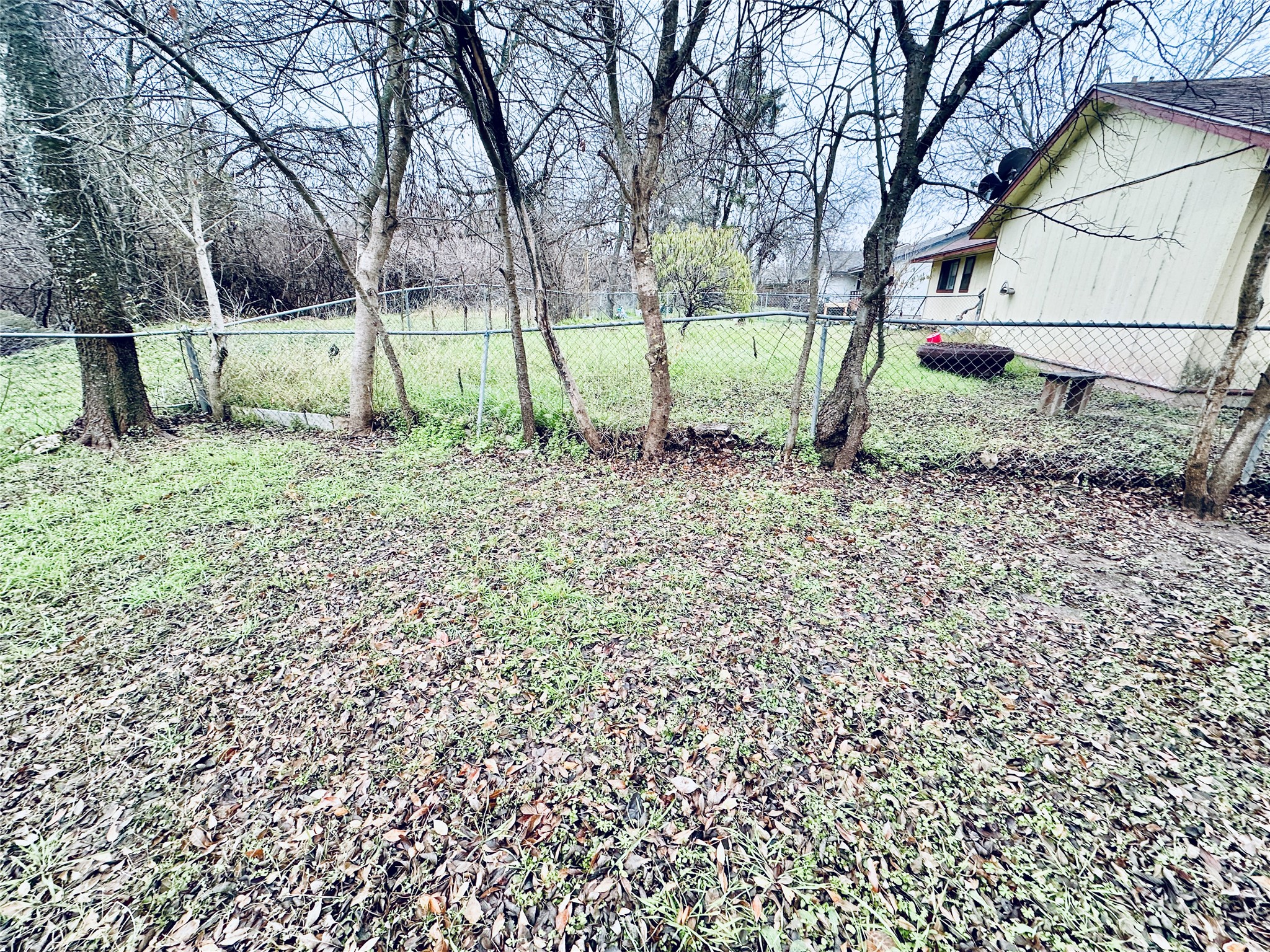 12505 Turtle Rock Road, Unit A Austin, TX 78729 - Photo 38 of 38 A secured backyard with a chain link fence and natural landscaping, offering privacy and a verdant retreat.
