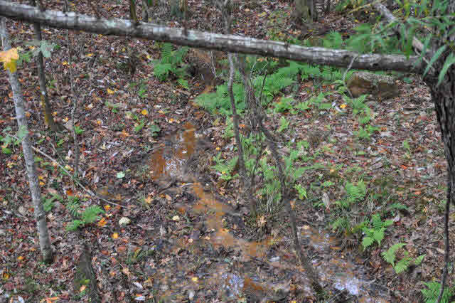 8008 Patricks Ldg Road Bay Minette, AL 36507 - Photo 6 of 33 Wet Weather Stream