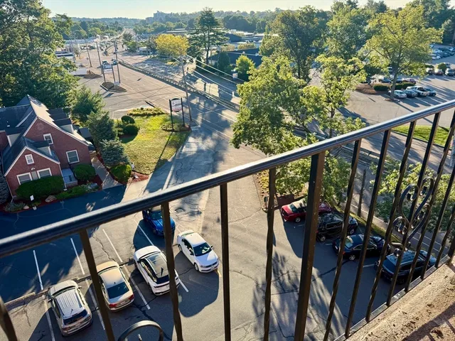 a view of a balcony with wooden floor and potted plants
