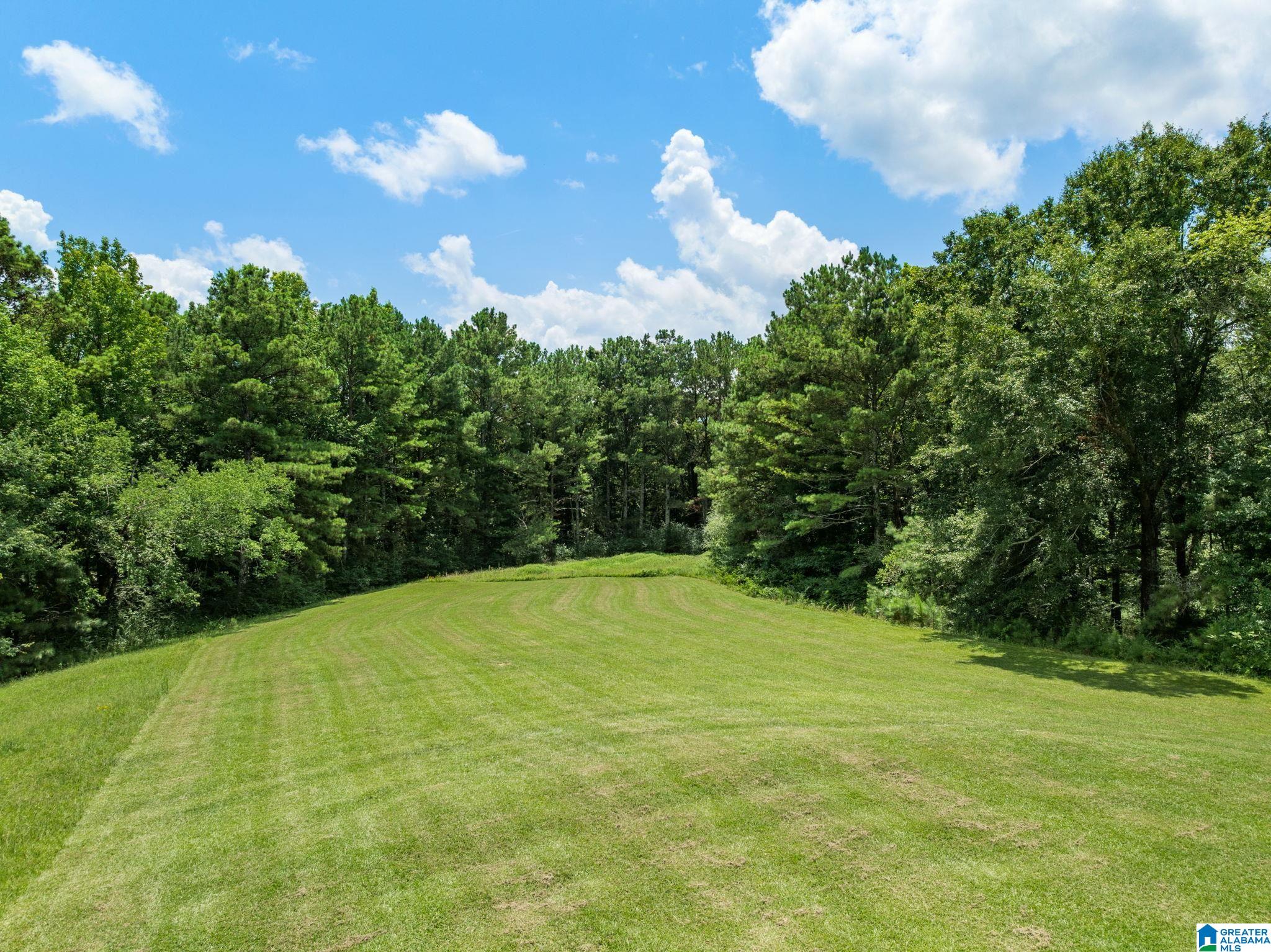 362 Teem Road Cullman, AL 35057 - Photo 59 of 70