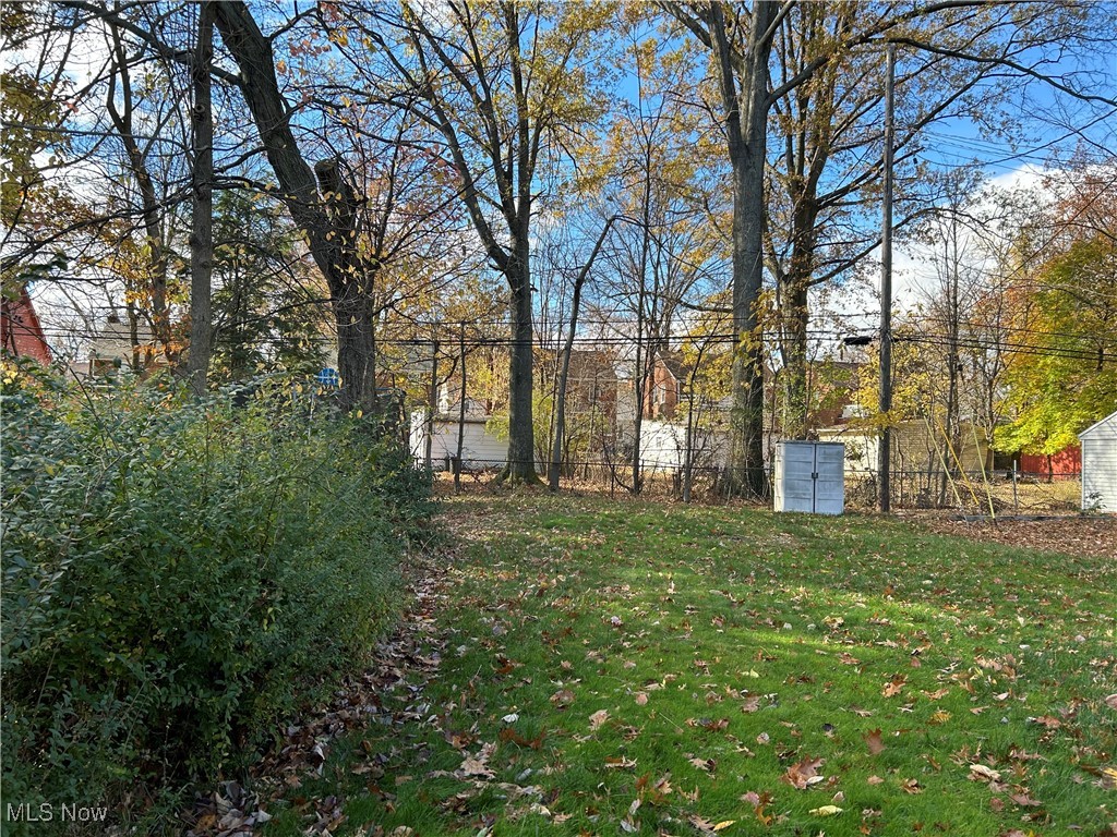 1094 Plainfield Road Cleveland, OH 44121 - Photo 39 of 41 View of yard