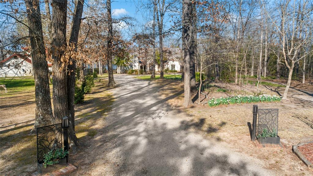 571 Hidden Lake Drive Powderly, TX 75473 - Photo 3 of 40 a view of outdoor space with trees