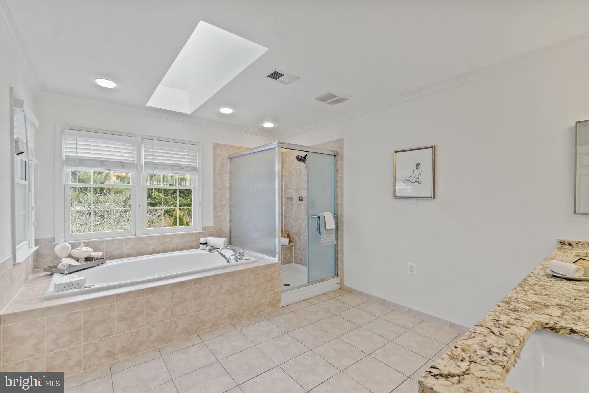 15408 Deep Bottom Road Darnestown, MD 20874 - Photo 29 of 82 Owners' Suite Bathroom