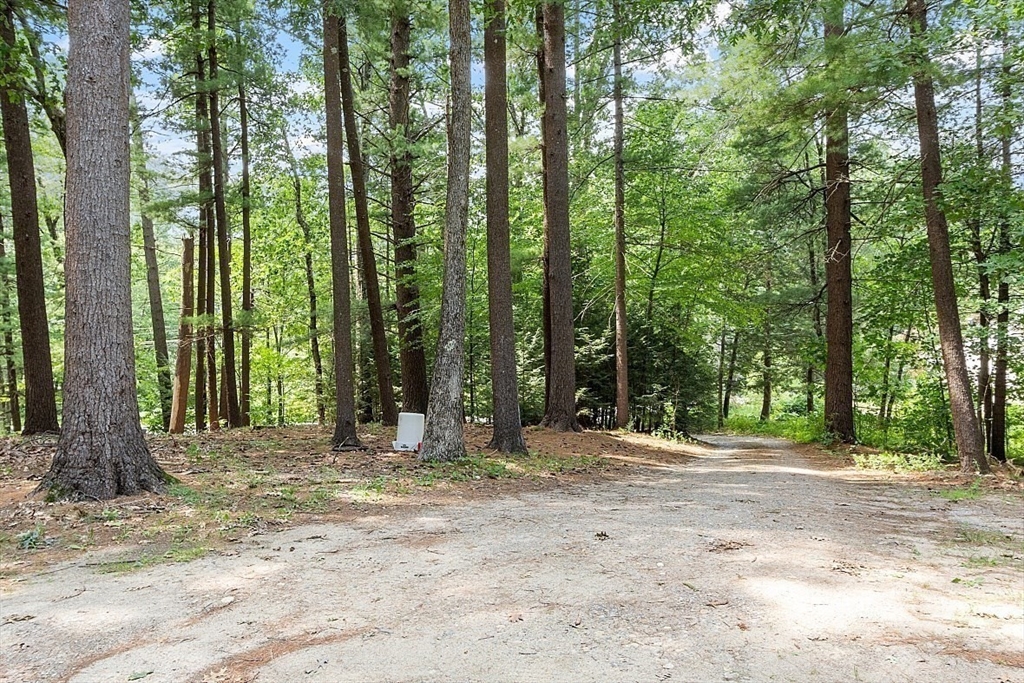 659 Reservoir Road Lunenburg, MA 01462 - Photo 38 of 41 a fire hydrant in the middle of a yard
