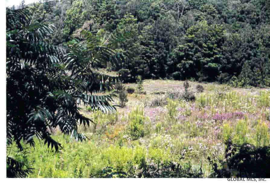 149 & Oatman Road Granville, NY 12832 - Photo 3 of 6 Photo 3