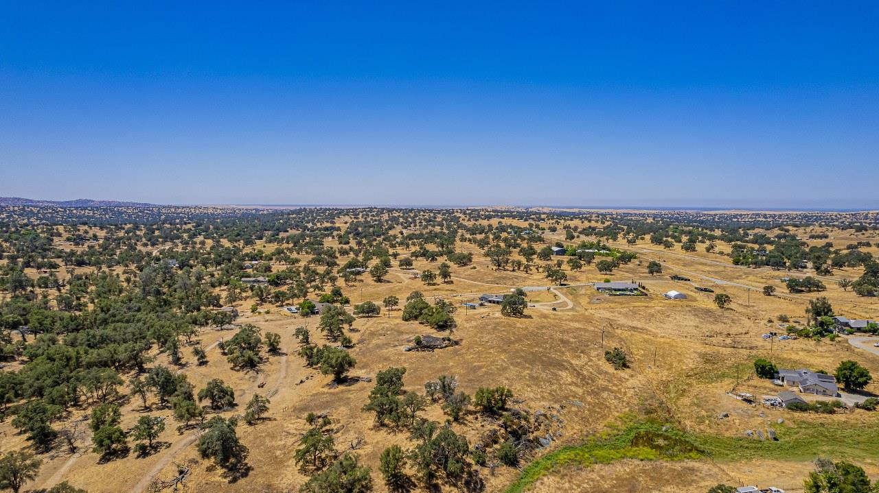 35095 Rough Rider Way Raymond, CA 93653 - Photo 51 of 57 a view of a yard with an outdoor space