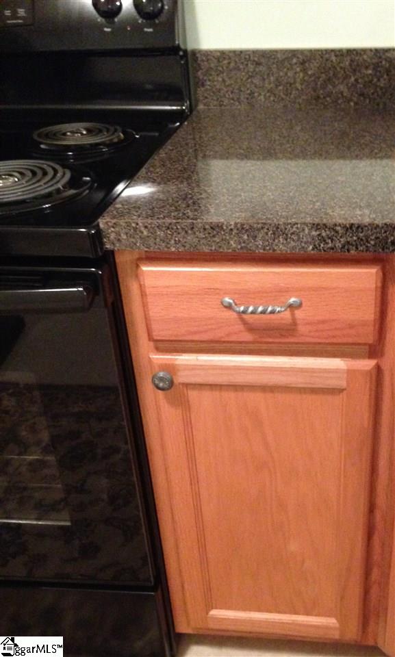 2042 Fairview Road Fountain Inn, SC 29644 - Photo 6 of 33