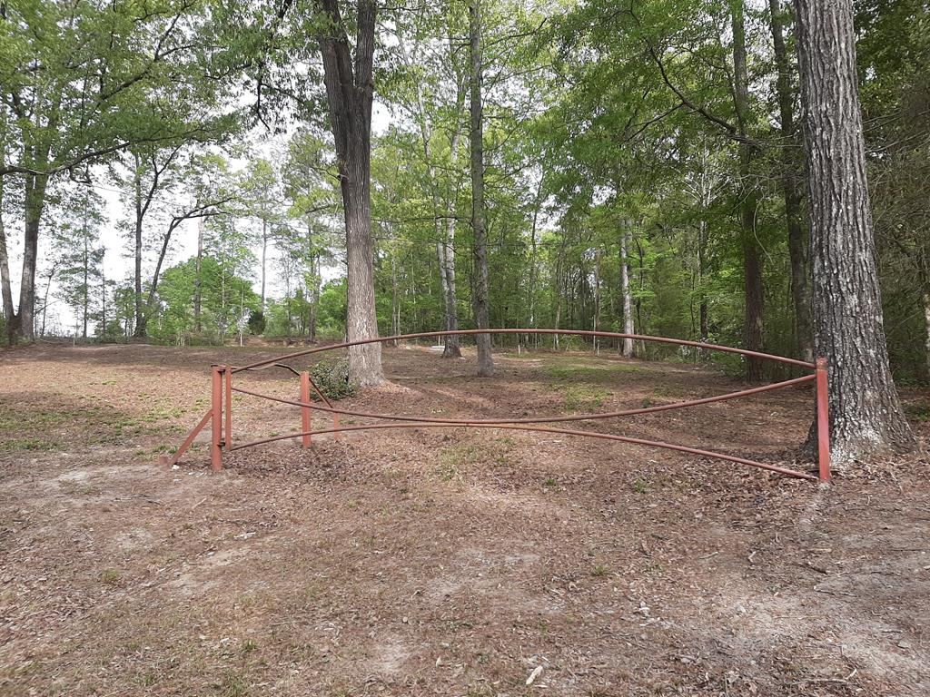 N/a Youngblood Road Gordon, GA 31031 - Photo 7 of 8 Gallery Image 7