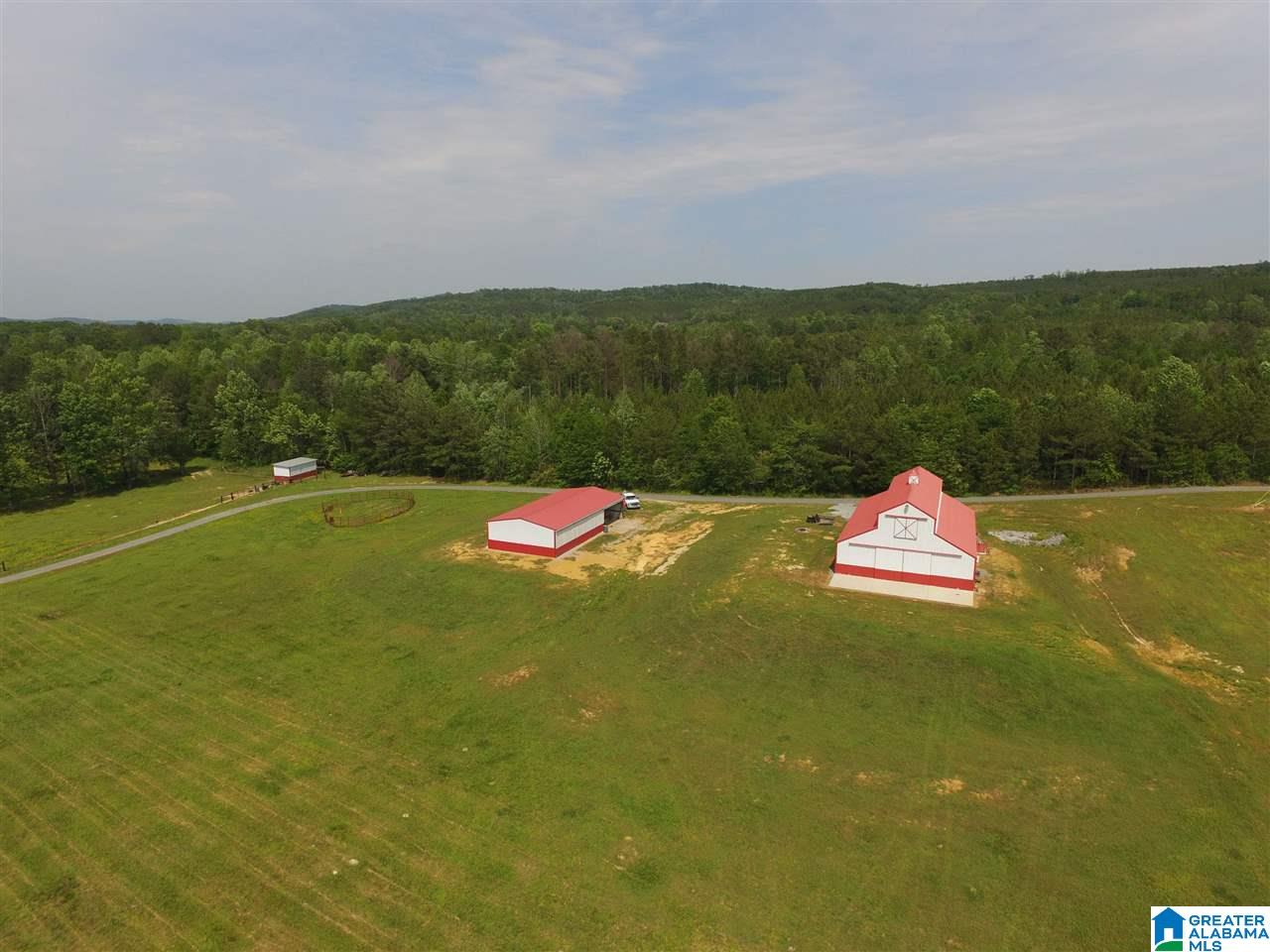 0 Pleasant Hills Road, Unit 40 Odenville, AL 35120 - Photo 41 of 48