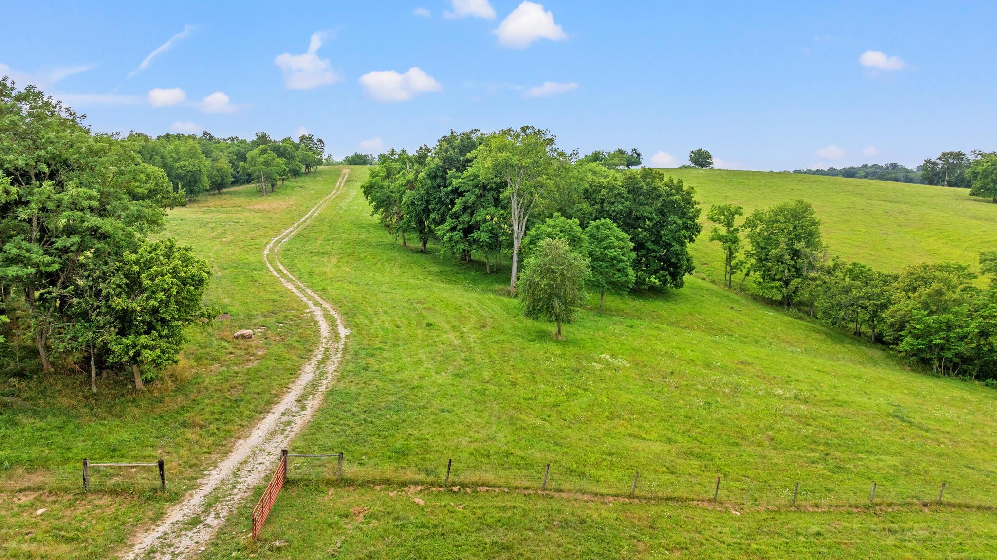 783 Rutland Road Cynthiana, KY 41031 - Photo 39 of 50 DJI_20260618123617_0874_D