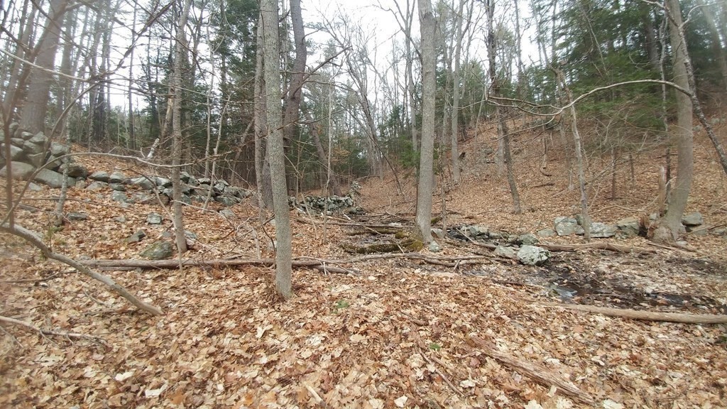 20 Wildmeadow Road Boxford, MA 01921 - Photo 6 of 40 Gallery Image 6