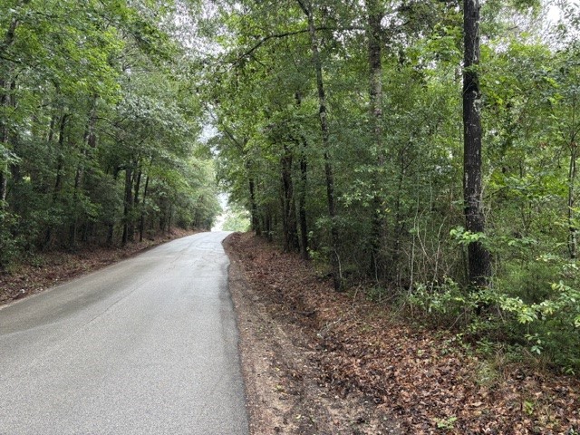 268 Cedar Valley Road Coldspring, TX 77331 - Photo 13 of 29