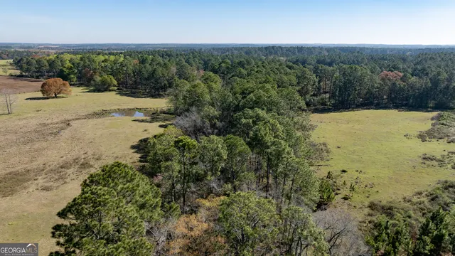 $541,687 | 0 Lost Road, Arabi, GA 31712