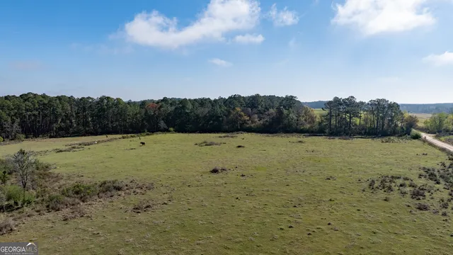 $541,687 | 0 Lost Road, Arabi, GA 31712