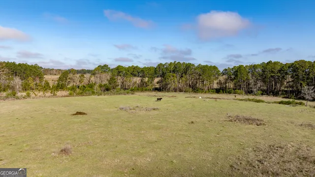 $541,687 | 0 Lost Road, Arabi, GA 31712