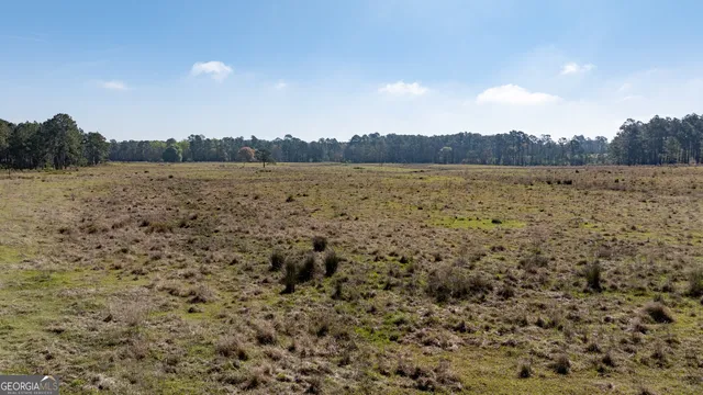 $541,687 | 0 Lost Road, Arabi, GA 31712