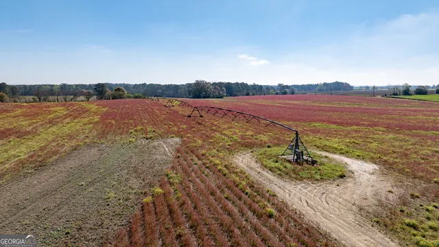 $541,687 | 0 Lost Road, Arabi, GA 31712