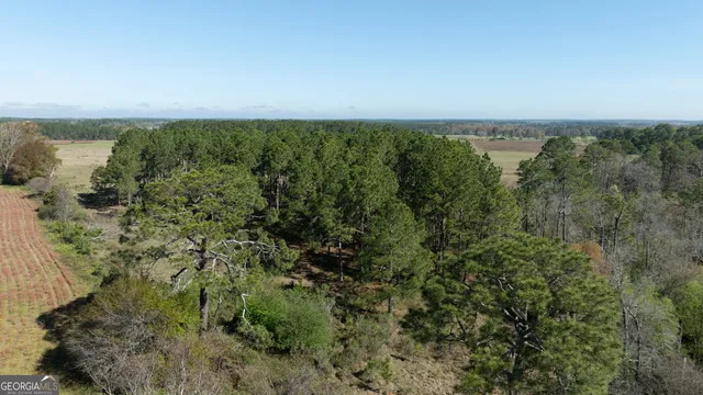 $541,687 | 0 Lost Road, Arabi, GA 31712