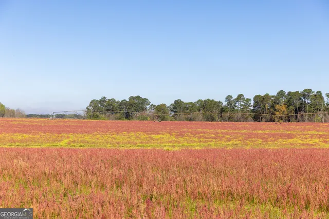 $541,687 | 0 Lost Road, Arabi, GA 31712