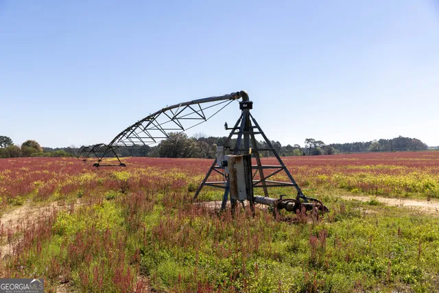 $541,687 | 0 Lost Road, Arabi, GA 31712