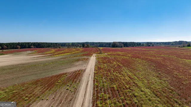 $541,687 | 0 Lost Road, Arabi, GA 31712