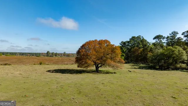 $541,687 | 0 Lost Road, Arabi, GA 31712