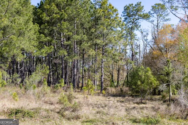 $541,687 | 0 Lost Road, Arabi, GA 31712