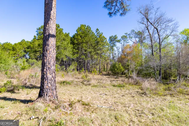 $541,687 | 0 Lost Road, Arabi, GA 31712