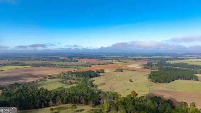 $541,687 | 0 Lost Road, Arabi, GA 31712