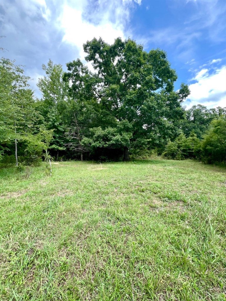 Fearstown Road Randolph, VA 23962 - Photo 5 of 13 Gallery Image 5