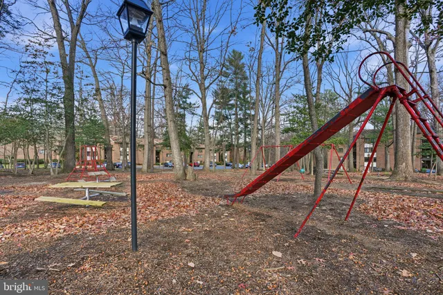 a view of yard with trees