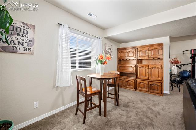 7692 Wichita Ridge Point Colorado Springs, CO 80923 - Photo 19 of 29