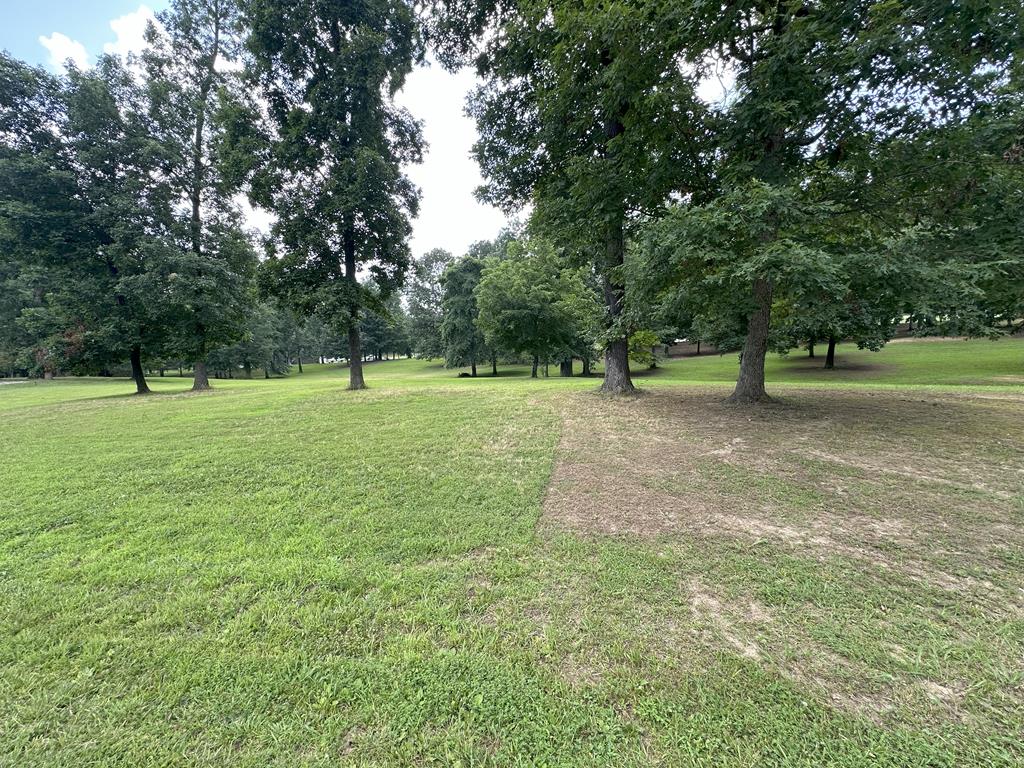 6 Big Oak Cir Road Calhoun, KY 42327 - Photo 1 of 4 Main View
