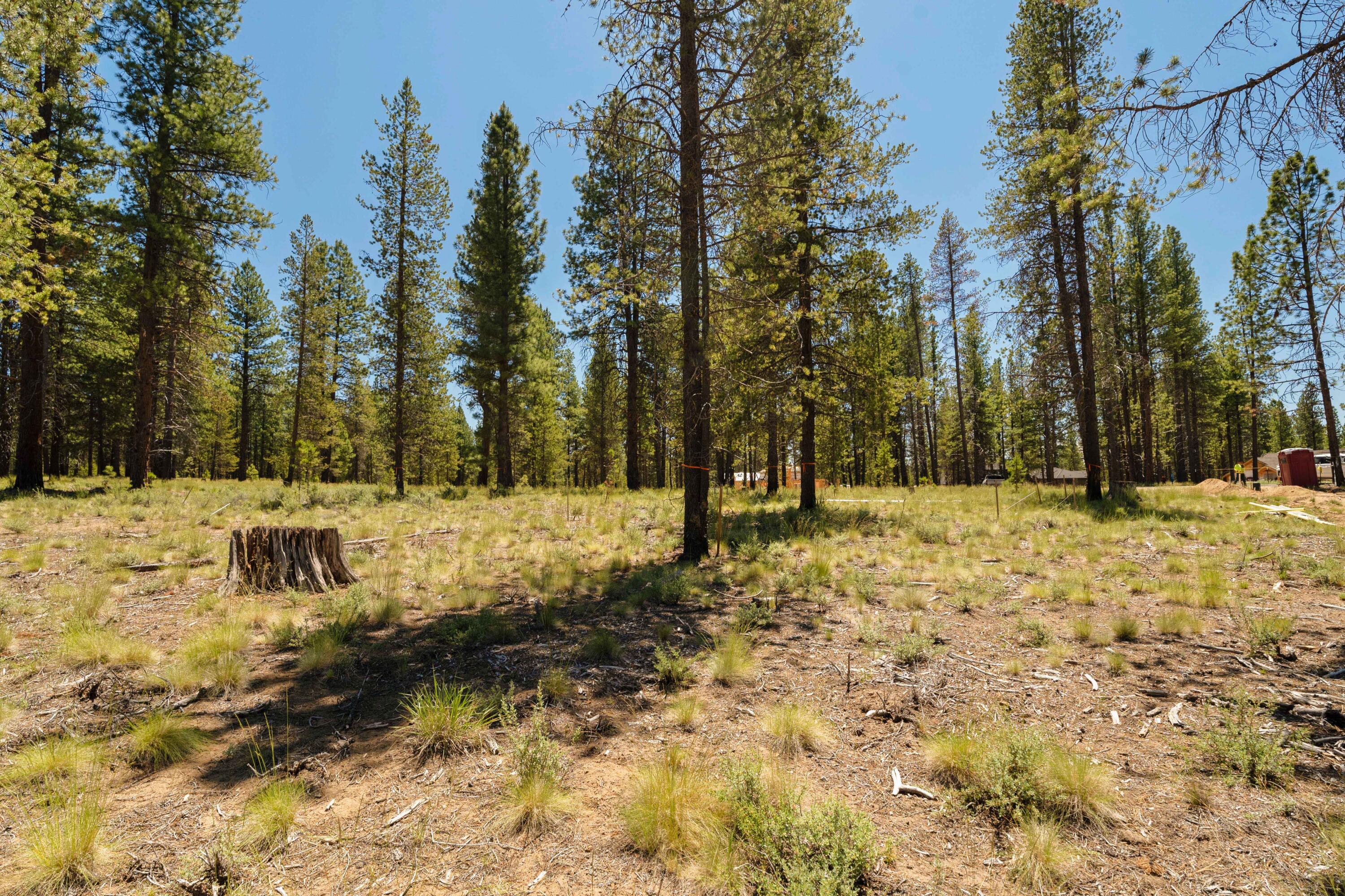 18235 Basalt Ln Bend, Unit 330 Bend, OR 97707 - Photo 5 of 27 10-Lot 330