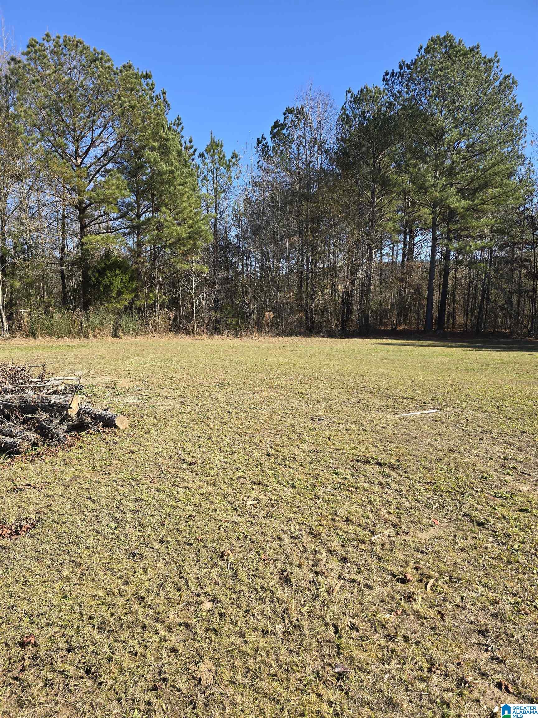 4850 Shoal Creek Road, Unit ACREAGE Ashville, AL 35953 - Photo 4 of 18