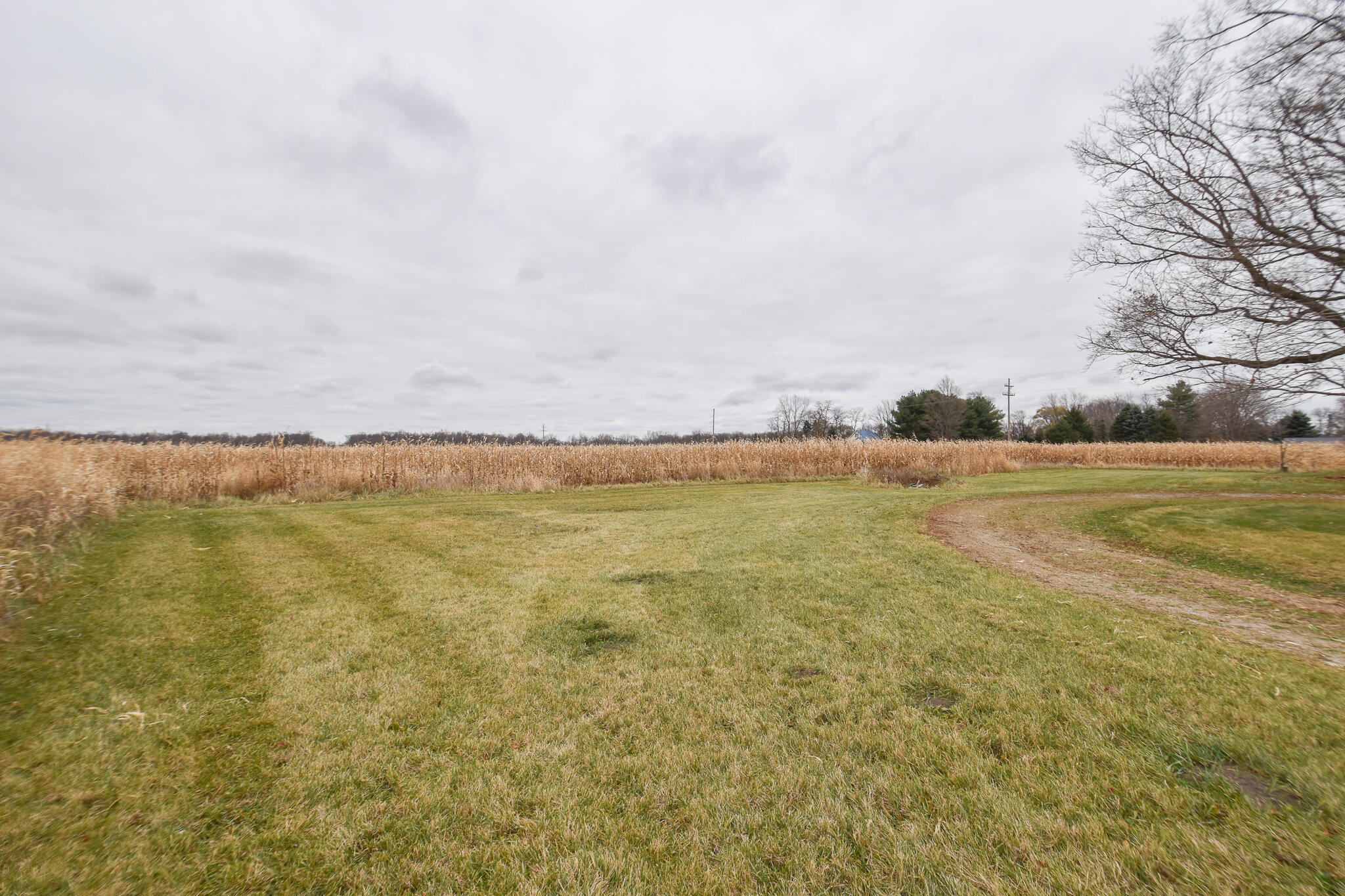362 East Girard Road Coldwater, MI 49036 - Photo 6 of 34 DSC_0616