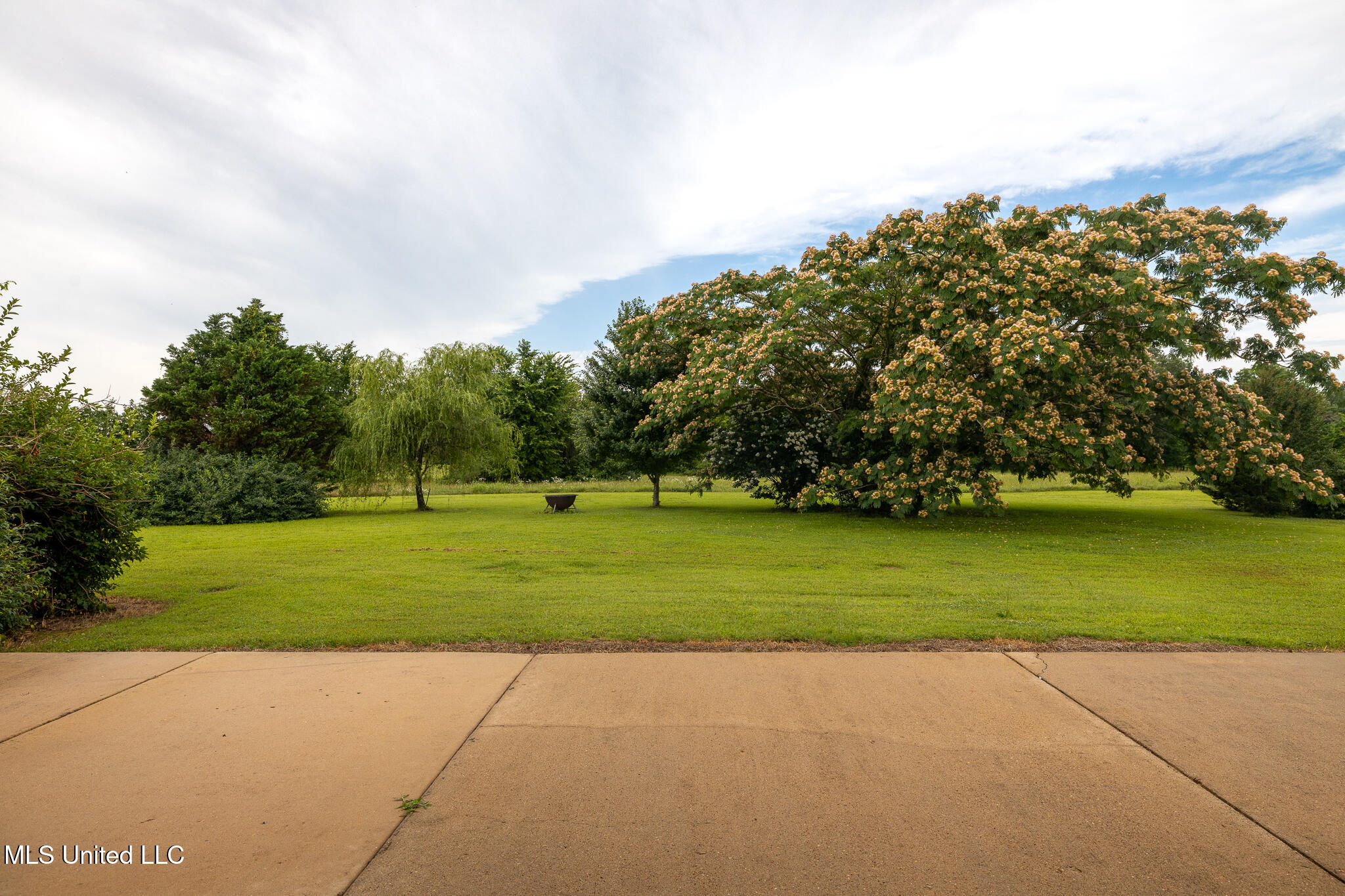 475 Wilburn Road Michigan City, MS 38647 - Photo 36 of 43 475 Wiburn Rd-44