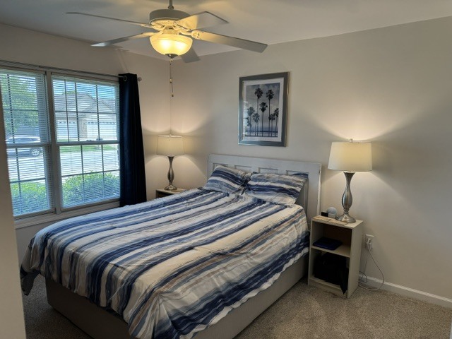 318 Piazza Lane Chatham, IL 62629 - Photo 28 of 43