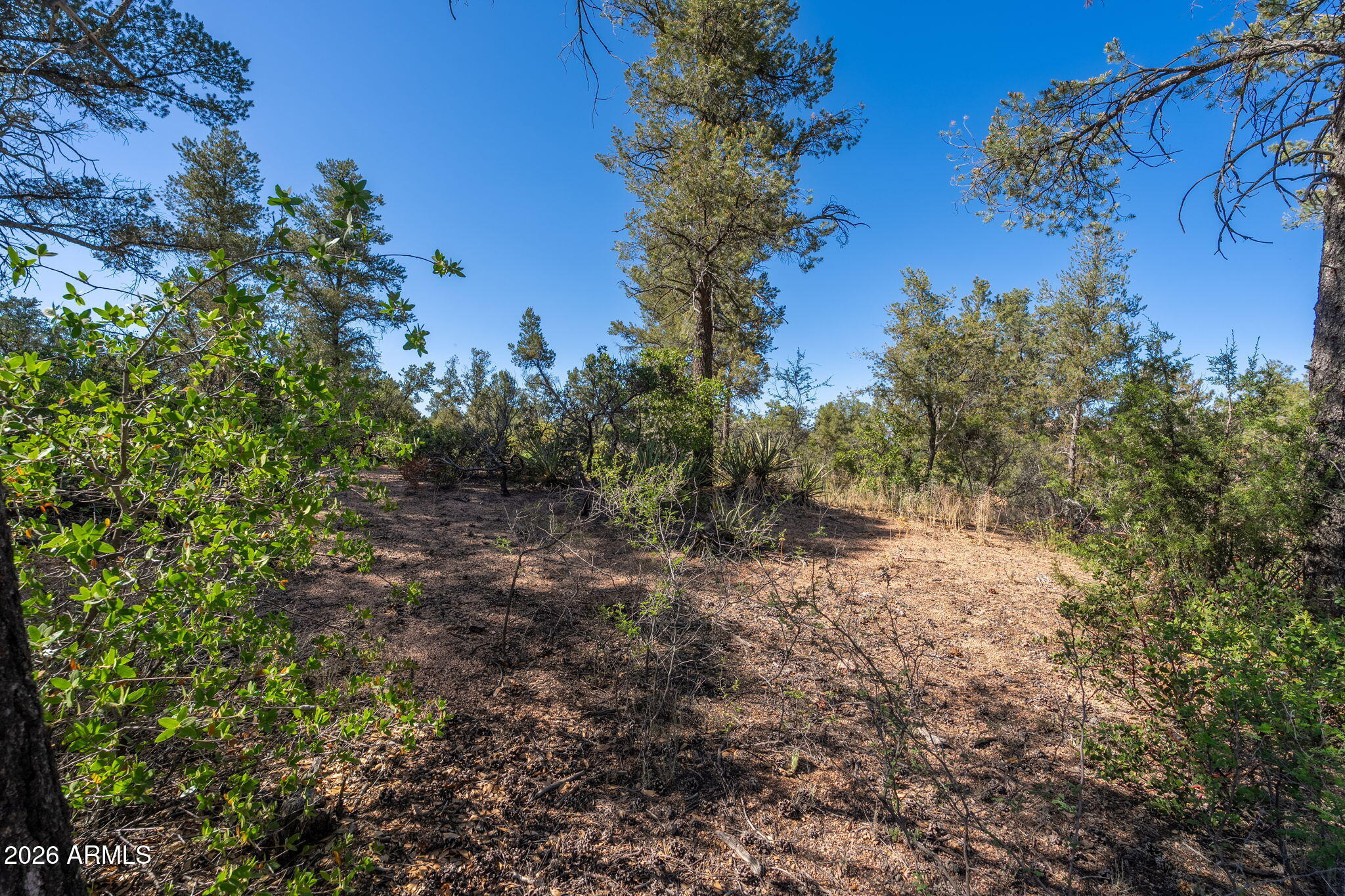 506 South Primeval, Unit 79 Payson, AZ 85541 - Photo 40 of 48 506 S Primeval - 38