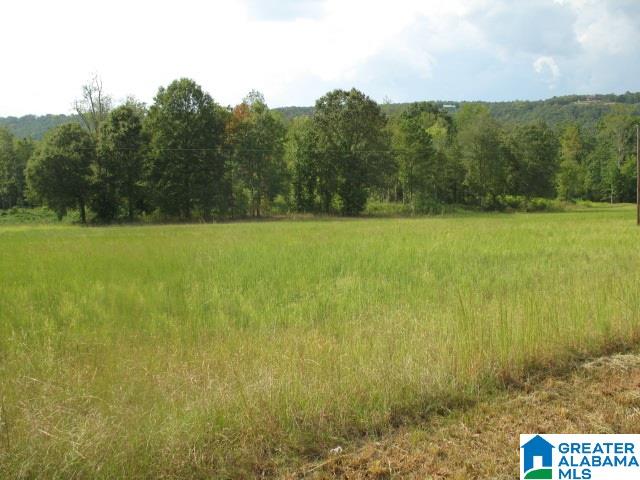 Crawford Cove Road, Unit 3 Springville, AL 35146 - Photo 2 of 6 Gallery Image 2