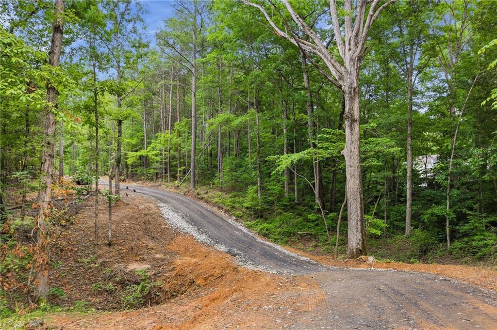 Lot 1 Pete Path Dallas, GA 30157 - Photo 15 of 21