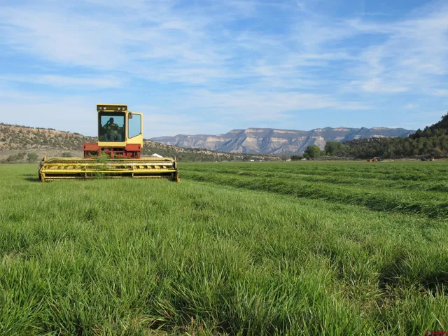 a view of a houses with a yard and lake view