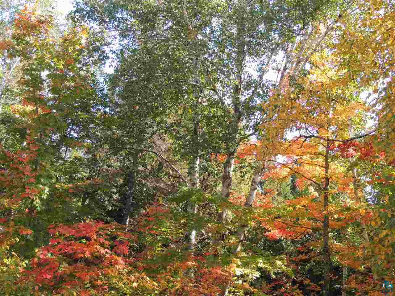 X29 Isak Ridge Lutsen, MN 55612 - Photo 12 of 13